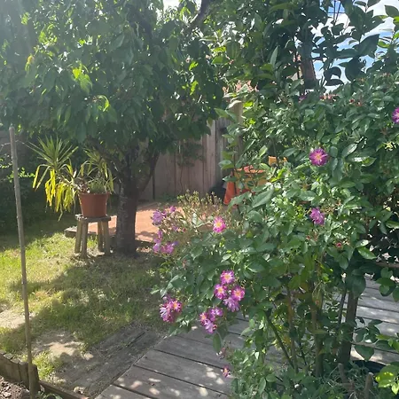 Bois Avec Terrasse Et Jardin Bassin Et Ocean